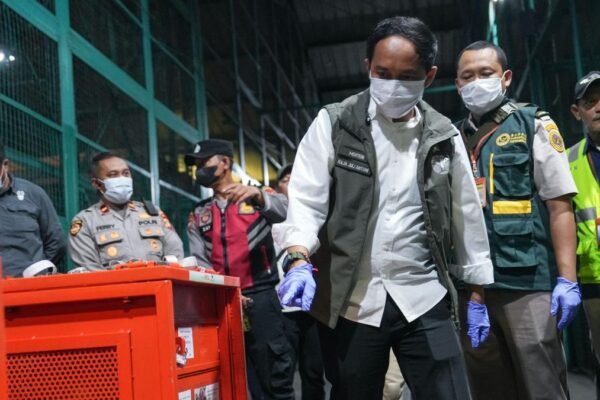 Repatriasi 4 Orangutan dari Thailand, Upaya Indonesia Lindungi Satwa