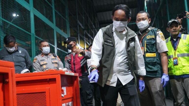 Repatriasi 4 Orangutan dari Thailand, Upaya Indonesia Lindungi Satwa